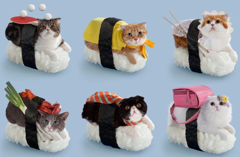 sushi-cats